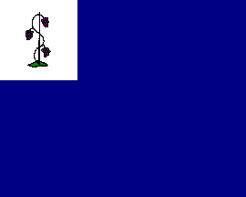 [Connecticut Colonial Privateer flag]